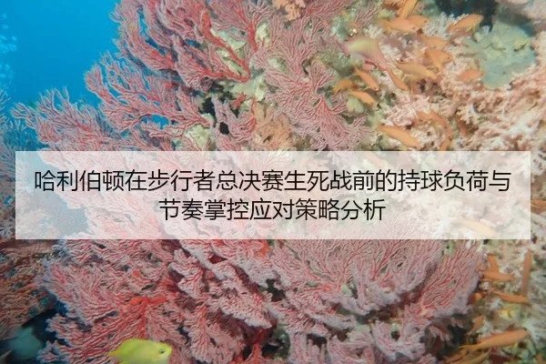 ha-li-bo-dun-zai-bu-xing-zhe-zong-jue-sai-sheng-si-zhan-qian-de-chi-qiu-fu-he-yu-jie-zou-zhang-kong-ying-dui-ce-lve-fen-2-295.jpg